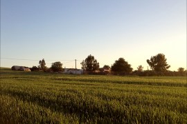 الأراضي الزراعية في المغرب