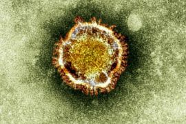 FILE - In this undated file image released by the British Health Protection Agency shows an electron microscope image of a coronavirus, part of a family of viruses that cause ailments including the common cold and SARS, which was first identified last year in the Middle East. Two respiratory viruses in different parts of the world have captured the attention of global health officials _ a novel coronavirus in the Middle East and a new bird flu spreading in China. Last week, the coronavirus related to SARS spread to France, where one patient who probably caught the disease in Dubai infected his hospital roommate. Officials are now trying to track down everyone who went on a tour group holiday to Dubai with the first patient as well as all contacts of the second patient. Since it was first spotted last year, the new coronavirus has infected 34 people, killing 18 of them. Nearly all had some connection to the Middle East.