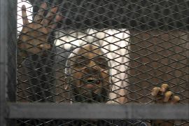 Muslim Brotherhood's senior member Mohamed El-Beltagy speaks from the defendant's cage in a courtroom in Cairo June 7, 2014. An Egyptian court sentenced 10 supporters of the outlawed Muslim Brotherhood to death in absentia on Saturday but postponed sentencing of its leader and other senior members tried in the case, judicial sources said. Judge Hassan Fareed said the verdict for the rest of the defendants, including Beltagy, would be announced at a hearing on July 5. REUTERS/Mohamed Abd El Ghany (EGYPT - Tags: CRIME LAW POLITICS)