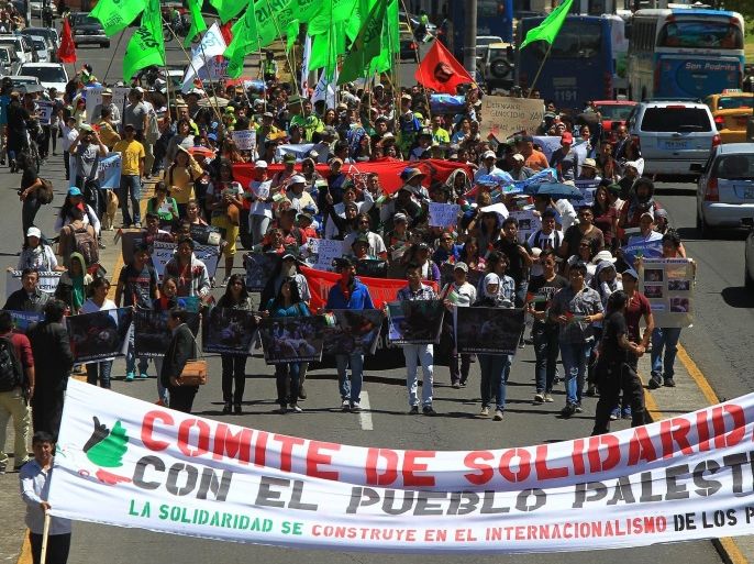 A group of people protest against Israel's military incursion in the Gaza Strip, in Quito, Ecuador, on 24 July 2014.