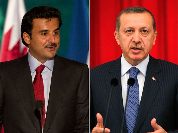 epa:Turkish Prime Minister Recep Tayyip Erdoganand and the Emir of Qatar, Sheikh Tamim bin Hamad bin Khalifa Al Thani