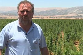 دعوات في لبنان لتشريع زراعة الحشيش