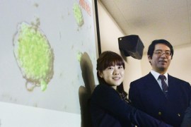 Yoshiki Sasai (R), deputy director of the Riken's Center for Developmental Biology, poses for a photo with Haruko Obokata, a scientist at the center, in front of a screen showing Stimulus-Triggered Acquisition of Pluripotency (STAP) cells, in Kobe, western Japan, in this photo taken by Kyodo January 28, 2014. Sasai, a Japanese researcher at the center of discredited research that was initially hailed as a potential breakthrough for stem-cell treatment, killed himself after months of stress and exhaustion, officials said on Tuesday. Picture taken January 28, 2014. Mandatory credit REUTERS/Kyodo (JAPAN - Tags: SCIENCE TECHNOLOGY SOCIETY) ATTENTION EDITORS - THIS IMAGE WAS PROVIDED BY A THIRD PARTY. THIS PICTURE IS DISTRIBUTED EXACTLY AS RECEIVED BY REUTERS, AS A SERVICE TO CLIENTS. FOR EDITORIAL USE ONLY. NOT FOR SALE FOR MARKETING OR ADVERTISING CAMPAIGNS. MANDATORY CREDIT. JAPAN OUT. NO COMMERCIAL OR EDITORIAL SALES IN JAPAN. YES