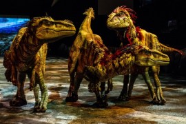 This image released by Boneau/Bryan-Brown shows three lifelike dinosaurs, part of the "Walking with Dinosaurs, the Arena Spectacular," in New York. The show, based on an award-winning BBC Television series, travels 200 million years from Triassic to the Jurassic and Cretaceous periods, and features 10 species of dinosaur. It is produced by Global Creatures, the Australian company behind the new musical "King Kong," the Tony Award-winning ''War Horse" and "How To Train Your Dragon." (AP Photo/Boneau/Bryan-Brown, Patrick Murphy)