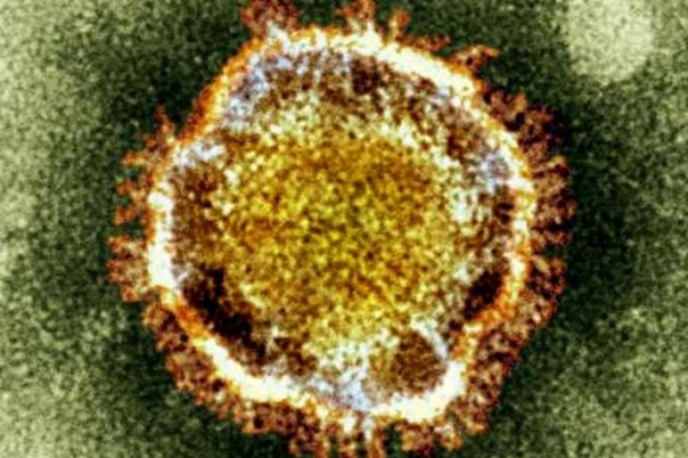 FILE - In this undated file image released by the British Health Protection Agency shows an electron microscope image of a coronavirus, part of a family of viruses that cause ailments including the common cold and SARS, which was first identified last year in the Middle East. Two respiratory viruses in different parts of the world have captured the attention of global health officials _ a novel coronavirus in the Middle East and a new bird flu spreading in China. Last week, the coronavirus related to SARS spread to France, where one patient who probably caught the disease in Dubai infected his hospital roommate. Officials are now trying to track down everyone who went on a tour group holiday to Dubai with the first patient as well as all contacts of the second patient. Since it was first spotted last year, the new coronavirus has infected 34 people, killing 18 of them. Nearly all had some connection to the Middle East.