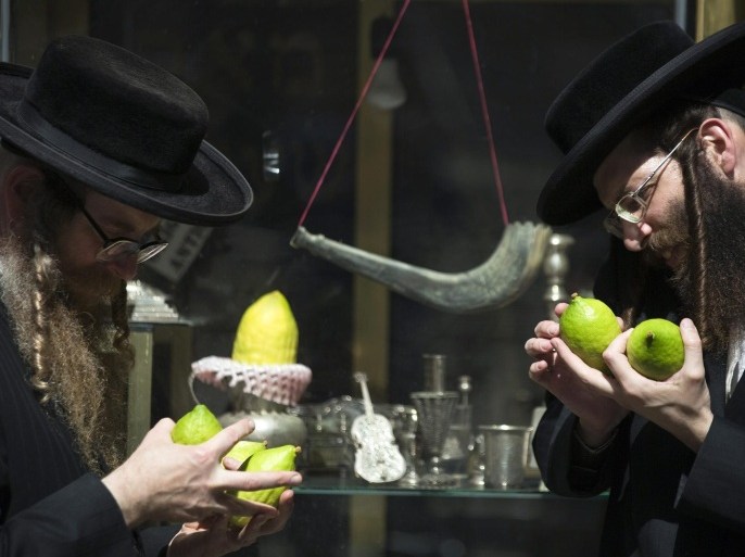 Ultra-Orthodox Jewish men check etrogs, a citrus fruit, for blemishes at a market in Jerusalem's Mea Shearim neighbourhood October 8, 2014. The citrus fruit is used in rituals during the Jewish holiday of Sukkot, which begins at sundown on Wednesday. REUTERS/ Amir Cohen (JERUSALEM - Tags: RELIGION FOOD)