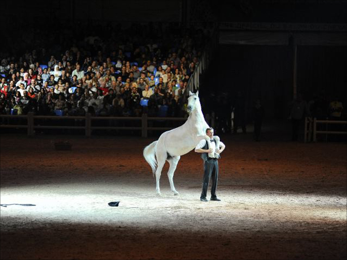‪معرض مازكان الدولي يستقطب المهتمين بفنون الخيول وتراثها‬ (الجزيرة نت)