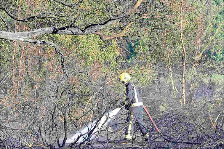 A firefighter extinguishes a grass fire in Epping Forest, east London July 19, 2013. Wildfires could spread throughout Britain as the country sweats in the longest heatwave for seven years, local media reported. REUTERS/Paul Hackett (BRITAIN - Tags: ENVIRONMENT)