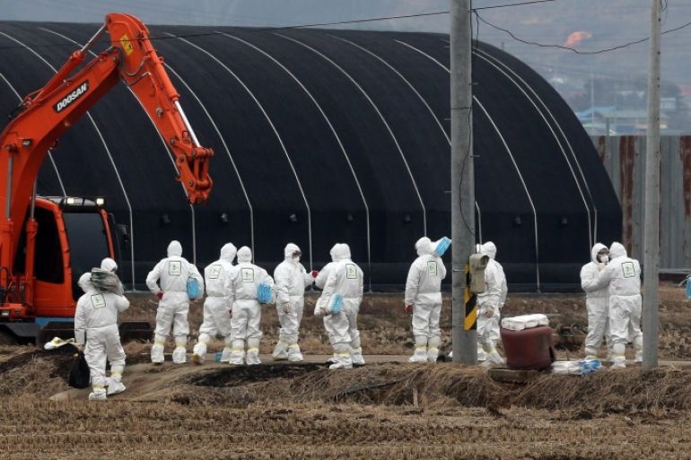Quarantine efforts are ongoing at a poultry farm in Buyeo, South Chungcheong Province, south of Seoul, South Korea, 25 January 2014, after health authorities confirmed a case of avian influenza (A) in a chicken of the farm. EPA/YONHAP SOUTH KOREA OUT