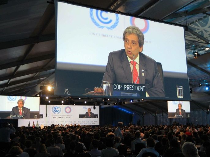 President of COP20, Peruvian Minister of Environment Manuel Pulgar-Vidal (C) during his speech in the 20th UN Climate Change Conference COP20 held in the city of Lima, Peru, 12 December 2014.