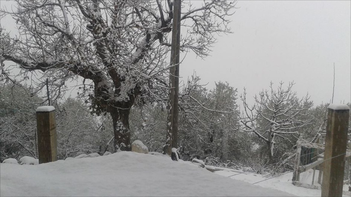 الثلج وقد بلغ ارتفاعه مترا في جبل الأكراد
