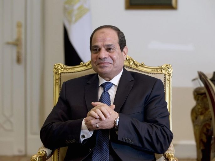Egypt's President Abdel Fattah al-Sisi waits for a meeting with U.S. Treasury Secretary Jack Lew at the presidential palace in Cairo, in this October 27, 2014 file photo. To match Special Report EGYPT-SINAI/MILITANTS REUTERS/Hassan Ammar/Pool/Files (EGYPT - Tags: POLITICS BUSINESS)