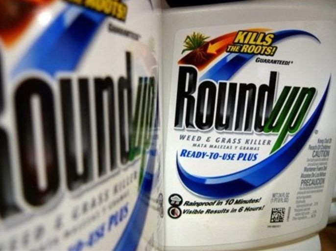 Bottles of Roundup herbicide, a product of Monsanto, are displayed on a store shelf Tuesday, June 28, 2011, in St. Louis. Monsanto Co. said Wednesday, June 29, higher sales of genetically engineered seeds helped it nearly double its third-quarter profit.
