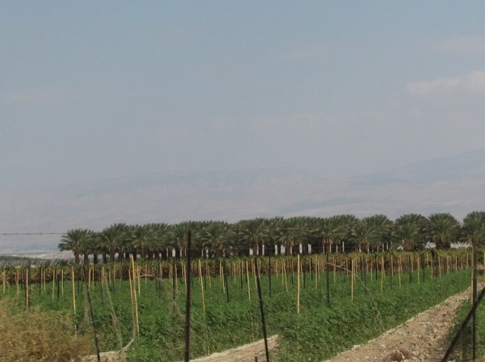 صورة أرشيفية لإحدى مزارع المستوطنات في منطقة وادي الأردن