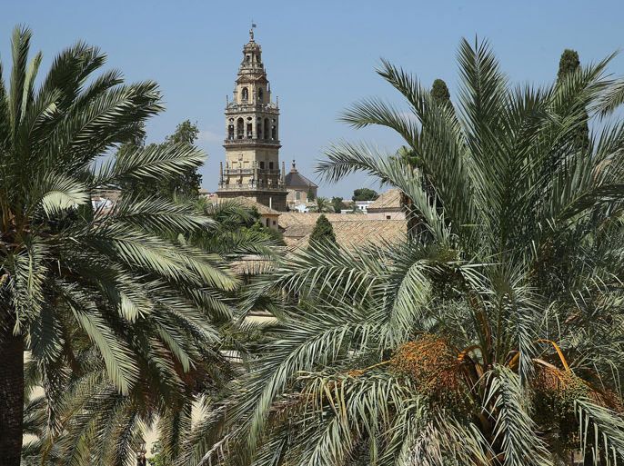 CORDOBA, SPAIN - JULY 23: The tower that stands next to the Mosque-Cathedral of Cordoba is visible through palm trees on July 23, 2013 in Cordoba, Spain. Southern Spain is among the most popular tourist destinations in Europe.