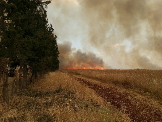 قوات النظام تحرق نحو 50 هكتارا من محاصيل القمح في الجهة الشرقية من قرية الحماميات بريف حماة (ناشطون)