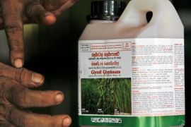 In this July 24, 2014, photo, a Sri Lankan agrochemical vendor gives instructions on how to use Glyphosate, the country's most popular weed killer, at a chemical sales point in Padaviya, Sri Lanka. A chronic kidney disease that has already killed up to 20,000 people over the past two decades and affects anywhere from 70,000 to 400,000 more in the country's North Central rice basket, remains an enigma without a name. Many in Sri Lanka, including the World Health Organization, have pointed to heavy use and misuse of agrochemicals as a possible culprit in a country that's among the world's top fertilizer users. (AP Photo/Eranga Jayawardena)