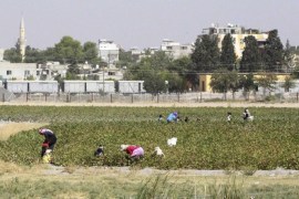 Farmers gather crops in Tel Abyad town on the Syrian-Turkish border, Raqqa countryside September 24, 2014. The town lies on the Syrian-Turkish border in Raqqa countryside, and forms a divided city with the Turkish town of Akcakale (seen in background), with a border crossing between the two towns that is currently closed, activists said. The activists further added that Tel Abyad town is a stronghold of the Islamic State. Picture taken September 24, 2014. REUTERS/Stringer (SYRIA - Tags: CONFLICT SOCIETY AGRICULTURE)