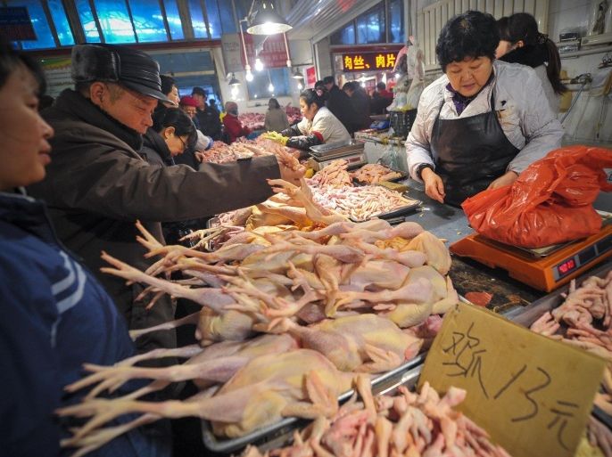 XINJIANG, CHINA -FEBRUARY 03: (CHINA MAINLAND OUT)All the live-bird markets of Urumchi are closed to control H7N9 epidemic situation on 03 February, 2015 in Urumchi, Xinjiang, China.