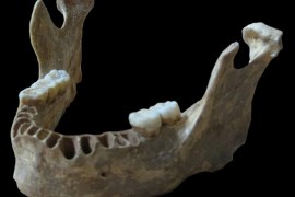 A jawbone unearthed in Romania of a man who lived about 40,000 years ago is shown in this handout photo provided by Max Planck Institute for Evolutionary Anthropology in Leipzig, Germany June 21, 2015. Scientists said on Monday the jawbone unearthed in Romania boasts the most Neanderthal ancestry ever seen in a member of our species. The finding that also indicates that interbreeding with Neanderthals occurred much more recently than previously known. REUTERS/MPI f. Evolutionary Anthropology/Paabo/Handout via Reuters ATTENTION EDITORS - THIS PICTURE WAS PROVIDED BY A THIRD PARTY. REUTERS IS UNABLE TO INDEPENDENTLY VERIFY THE AUTHENTICITY, CONTENT, LOCATION OR DATE OF THIS IMAGE. FOR EDITORIAL USE ONLY. NOT FOR SALE FOR MARKETING OR ADVERTISING CAMPAIGNS. THIS PICTURE IS DISTRIBUTED EXACTLY AS RECEIVED BY REUTERS, AS A SERVICE TO CLIENTS. NO SALES. NO ARCHIVES. MANDATORY CREDIT.