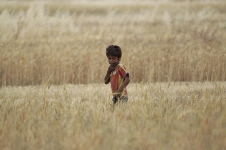 A boy walks along an agriculture field in Maarshmarin village in Idlib countryside May 24, 2015. Farmers in Idlib countryside said that forces loyal to Syria's President Bashar al-Assad are targeting their agriculture lands to destroy their crop. Picture taken May 24, 2015. REUTERS/Khalil Ashawi