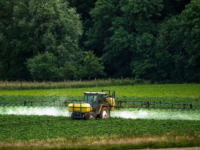 A farmer sprays pesticides on his crops in Bailleul, northern France, on June 15, 2015. French Ecology Minister Segolene Royal announced on June 14, 2015 a ban on the sale of American biotechnology giant Monsanto's popular weedkiller 'Roundup' from garden centres, which the UN has warned may be carcinogenic. The active ingredient in Roundup, glyphosate, was in March classified as 'probably carcinogenic to humans' by the UN's International Agency for Research on Cancer (IARC). AFP PHOTO / PHILIPPE HUGUEN