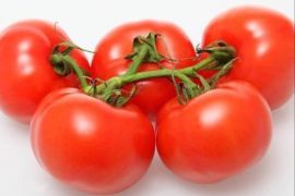 تسهم مادة الليكوبين الموجودة في قشور الطماطم في حماية خلايا جسم الإنسان وخفض مستوى كوليسترول (LDL) الضار. (النشر مجاني لعملاء وكالة الأنباء الألمانية "dpa". لا يجوز استخدام الصورة إلا مع النص المذكور وبشرط الإشارة إلى مصدرها.) عدسة: dpa