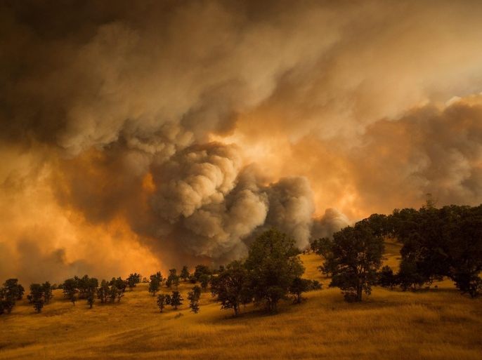 A plume of smoke rises from the Rocky fire near Clearlake, California, USA, 01 August 2015. The fire, one of dozens raging in drought parched Northern California, has destroyed 24 residences and scorched 25,750 acres according to Cal Fire. Thousands of firefighters battle blazes in northern California, where record heat and dry conditions were complicating efforts to extinguish them. More than 20 large wildfires are burning in the state, many caused by lightning strikes. Governor Jerry Brown declared a state of emergency, saying severe drought and extreme weather have turned much of the state into a tinderbox.