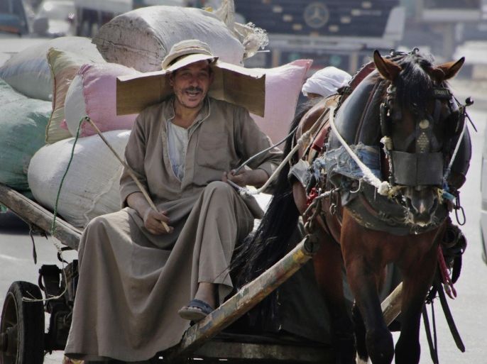 An Egyptian farmer rides his horse cart as he uses a makeshift hat with cardboard to protect his head from direct sunlight on a Cairo street in Egypt on Tuesday, Aug. 11, 2015. Egyptian health authorities said at least 40 people have died in the last two days amid a scorching heat wave hitting the country. (AP Photo/Amr Nabil)