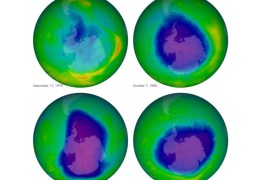 This undated image provided by NASA shows the ozone layer over the years, Sept. 17, 1979, top left, Oct. 7, 1989, top right, Oct. 9, 2006, lower left, and Oct. 1, 2010, lower right. Earth protective but fragile ozone layer is finally starting to rebound, says a United Nations panel of scientists. Scientists hail this as rare environmental good news, demonstrating that when the world comes together it can stop a brewing ecological crisis. (AP Photo/NASA)