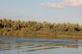 تقارير بيئية تحذر من مخاطر على الزراعة والثروةالسمكية في بسبب تلوث مياه نهر دجلة سبتمبر 2015