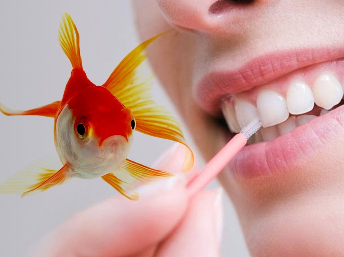تصيم .. سمكة مع اسنان بشر