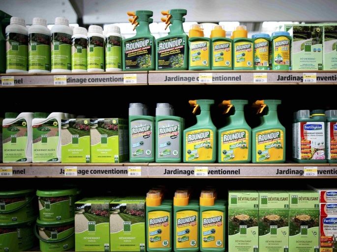 Weedkillers including Monsanto's Roundup are displayed for sale at a garden shop at Bonneuil-Sur-Marne near Paris, France, June 16, 2015. French Environment and Energy Minister Royal has asked garden shops to stop over-the-counter sales of Monsanto's Roundup weedkiller as part of a wider fight against pesticides seen as potentially harmful to humans.The International Agency for Research on Cancer (IARC), part of the World Health Organization (WHO), said in March that glyphosate, the key ingredient in Monsanto's Roundup was "probably carcinogenic to humans." REUTERS/Charles Platiau