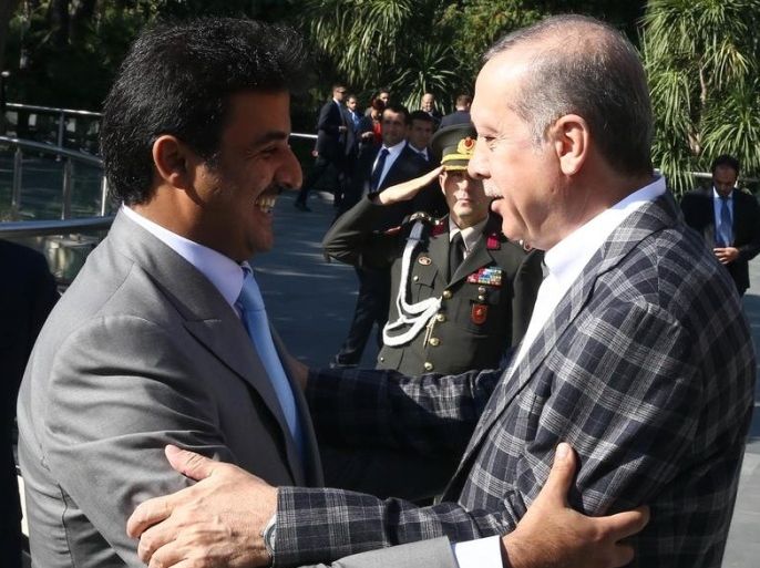 أردوغان و آل ثاني يبحثان الانتهاكات الإسرائيلية للمسجد الأقصى