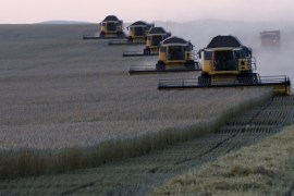 Combine harvesters work on a wheat field of the Solgonskoye farming company near the village of Talniki, southwest from Siberian city of Krasnoyarsk, Russia, August 27, 2015. Russia, one of the world's top wheat exporters, will harvest its third-largest grain crop in post-Soviet history this year, leading Russian consultancy SovEcon said on August 27 after upgrading its forecast. Picture taken August 27, 2015. REUTERS/Ilya Naymushin
