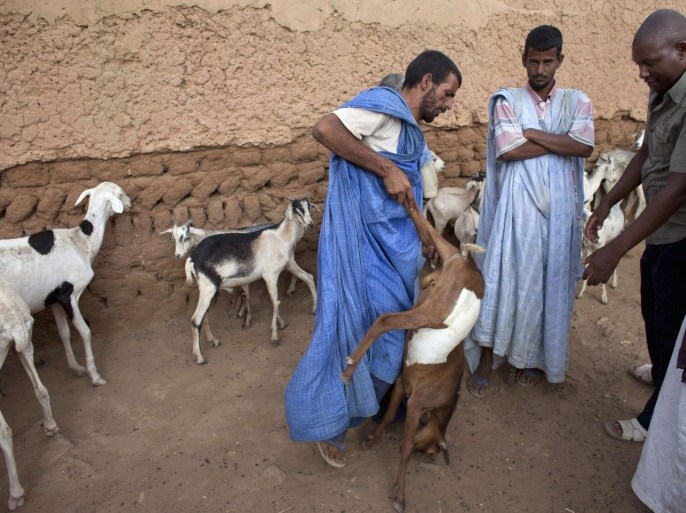 A goat vendor makes a sale in Bassikounou, Mauritania, about 30 km (19 miles) from the border with Mali, May 22, 2012. Mauritanian officials have stepped up security around the Sahara desert border with Mali due to the heightening risks from armed groups like Al-Qaeda in the Islamic Maghreb (AQIM) in Mali's lawless north. REUTERS/Joe Penney (MAURITANIA - Tags: POLITICS CIVIL UNREST ANIMALS)
