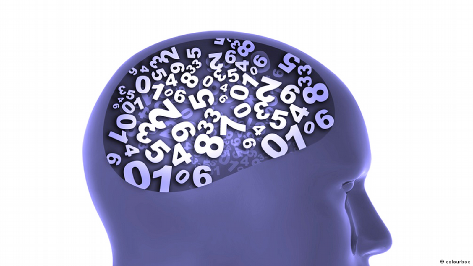 ‪العلاقة بين حجم المخ والذكاء خضعت للعديد من المبالغات‬ (دويتشه/كلربكس)