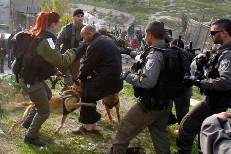 epa03559677 a palestinian man is attacked by two police dogs as he resists arrest by israeli border police as his home (r) was demolished in the silwan area of east jerusalem, 28 january 2013. police say the house was built without the proper permits. israel is coming under criticism as a report is published by the b'tselem human rights group alleging that some 10 palestinians have been killed over the past eight years in the west bank over the israeli army's use of crowd-control measures. the group says the army 'systematically violates' its rules dealing with crowd control. epa/mahfouz abu turk