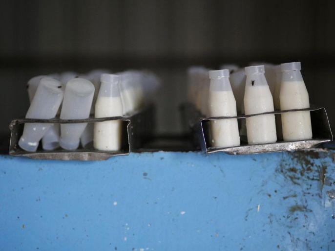 Bottles filled with milk samples are pictured inside a milk chilling centre at Mewat district in the northern Indian state of Haryana June 25, 2014. As dairy farmers fret over the risk to earnings due to the vagaries of the monsoon, the squeeze in supplies of milk is adding to inflationary pressures that Prime Minister Narendra Modi's government inherited when it came to power in May. Picture taken June 25, 2014. To match INDIA-INFLATION/MILK REUTERS/Anindito Mukherjee (INDIA - Tags: FOOD BUSINESS)
