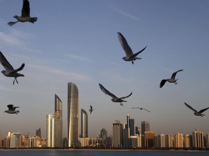 Seagulls fly over the city skyline in Abu Dhabi, United Arab Emirates, Wednesday Jan. 14, 2015. Seagulls are the migrating wild birds that come to the UAE shores every winter from Siberia and Mediterranean regions. (AP Photo/Kamran Jebreili)