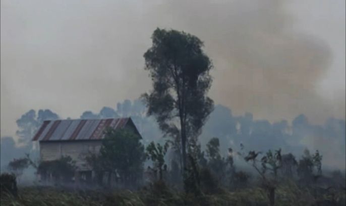 حرائق إندونيسيا تفقدها غاباتها