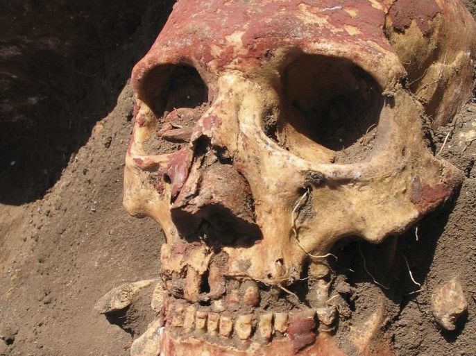 A skull from a mass grave is seen in Bateni, Russia, in Central Asia's Altai mountains in this handout image released to Reuters on October 22, 2015. The plague germ that caused the "Black Death" in the 14th century and other ferocious pandemics has stalked humankind far longer than previously known. A study unveiled on Thursday of DNA from Bronze Age people in Europe and Asia showed the bacterium, Yersinia pestis, afflicted humans as long ago as about 2800 BC, more than 3,000 years earlier than the oldest previous evidence of plague. REUTERS/Natalia Shishlina/Handout via ReutersATTENTION EDITORS - THIS PICTURE WAS PROVIDED BY A THIRD PARTY. REUTERS IS UNABLE TO INDEPENDENTLY VERIFY THE AUTHENTICITY, CONTENT, LOCATION OR DATE OF THIS IMAGE. FOR EDITORIAL USE ONLY. NOT FOR SALE FOR MARKETING OR ADVERTISING CAMPAIGNS. MANDATORY CREDIT. FOR EDITORIAL USE ONLY. NO RESALES. NO ARCHIVE. THIS PICTURE IS DISTRIBUTED EXACTLY AS RECEIVED BY REUTERS, AS A SERVICE TO CLIENTS.