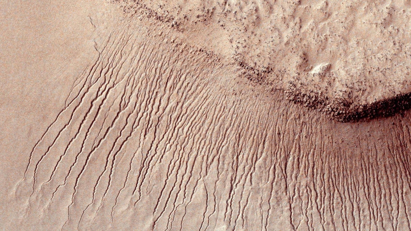 ‪قنوات مياه بعرض يتراوح بين متر وعشرة أمتار في صورة لمنطقة على سطح المريخ التقطها المسبار المداري روكونيسونس‬ 
قنوات مياه بعرض يتراوح بين متر وعشرة أمتار في صورة لمنطقة على سطح المريخ التقطها المسبار المداري روكونيسونس (رويترز)
