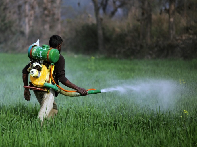 An Indian worker sprays pesticide in a wheat farm near village Kathunangal, some 20 km from Amritsar, India, 06 February. The farmers in the the Indian state of Punjab, which has been the biggest user of pesticides and fertilizers in the country, have started to adopt natural farming techniques, according to news reports. Instead of using chemical fertilizers some farmers have started to use potions, made at home to keep the soil free of pests. EPA/RAMINDER PAL SINGH