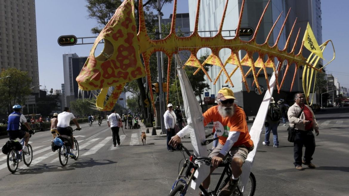 A man rides his bicycle while carrying an Alebrije as he takes part in a rally held the day before the start of the 2015 Paris Climate Change Conference (COP21), in Mexico City, Mexico November 29, 2015.  REUTERS/Daniel Becerril