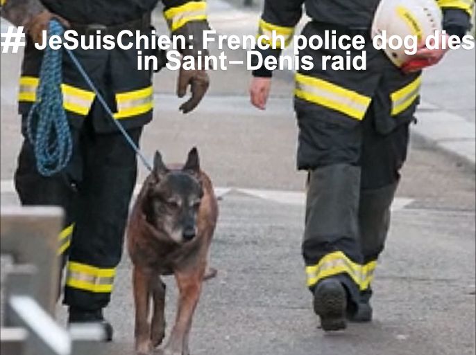 هشتاغ "أنا كلب" حزنا على كلب بوليسي نفق في مداهمة سان دوني شمال باريس