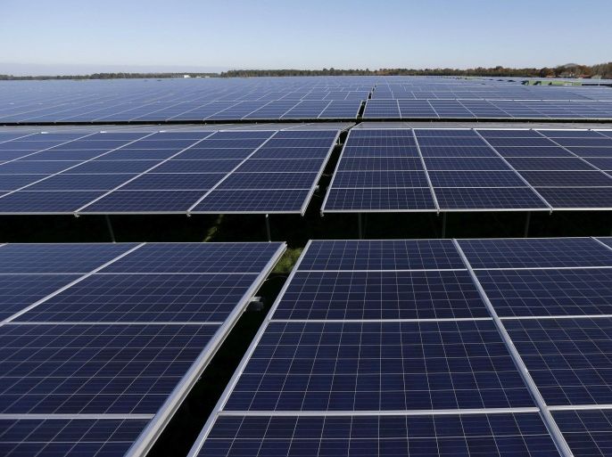 A general view shows solar panels used to produce renewable energy at the photovoltaic park during its official inauguration in Cestas, southwestern France, December 1, 2015. The solar farm of Cestas, the biggest in Europe, consists of 1 Million solar modules covering an area of 2,5 km2 of land and representing 300 MW of power. REUTERS/Regis Duvignau