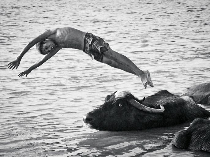 A submission for the aDay.org project shows a boy diving near water buffaloes in Ahvaz, Iran, on May 15, 2012. A digital display of 45 photos on more than 85,000 screens in 22 countries around the globe sought on October 8, 2012 to capture one day of the human experience in what organisers called the largest global photography exhibition ever staged. The 45 pictures were shown on 85,733 major digital display screens on October 8, including Times Square in New York, which organisers estimated would reach an audience of 46 million. REUTERS/Mehran Hamrahi/Courtesy of Aday.org/Handout (IRAN - Tags: SOCIETY) NO SALES. NO ARCHIVES. FOR EDITORIAL USE ONLY. NOT FOR SALE FOR MARKETING OR ADVERTISING CAMPAIGNS. THIS IMAGE HAS BEEN SUPPLIED BY A THIRD PARTY. IT IS DISTRIBUTED, EXACTLY AS RECEIVED BY REUTERS, AS A SERVICE TO CLIENTS