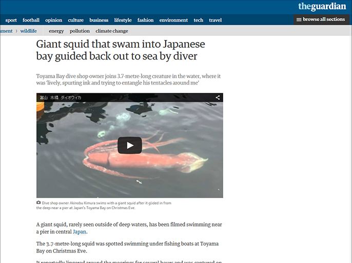 Dive shop owner Akinobu Kimura swims with a giant squid after it glided in from the deep near a pier at Japan’s Toyama Bay on Christmas Eve.png