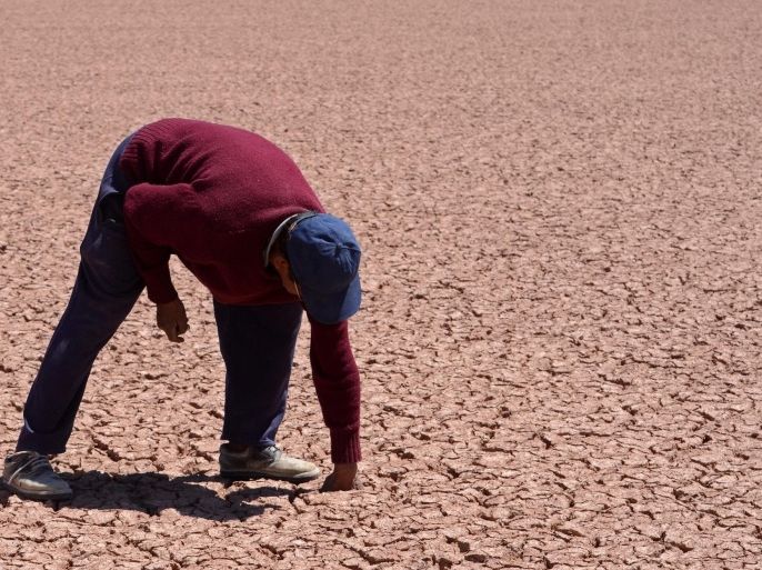 A handout photograph made available by the newspaper La Patria (Diario La Patria) on 15 December 2015 shows a man inspecting the soil during a visit to a sector of Lake Poopo, which is now almost totally dry, in Oruro, Bolivia, 11 December 2015. The second largest lake in Bolivia, the Poopo, is in the process of desertification in the Andean region of the country, due to climate change, El Nino and La Nina as well as mining pollution. EPA/DIARIO LA PATRIA